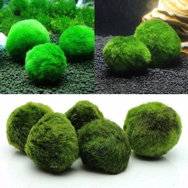 Aquarium Planted Tank Substrate - 1 Pieza de Bolas de Musgo