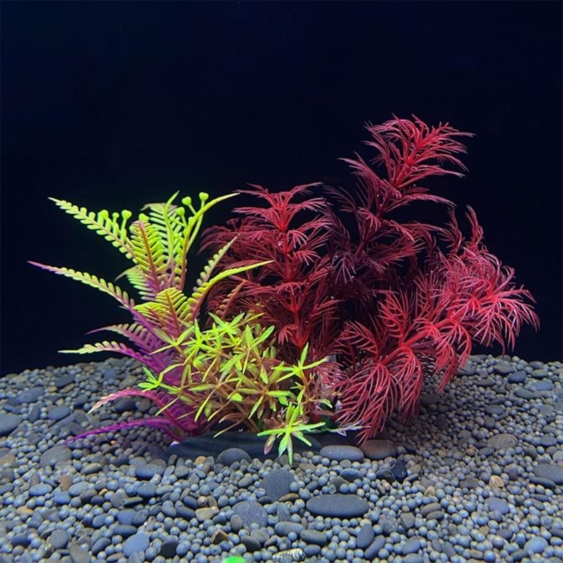 Planted Aquarium Best Fish - Decoración de acuario Artificial, planta, decoración
