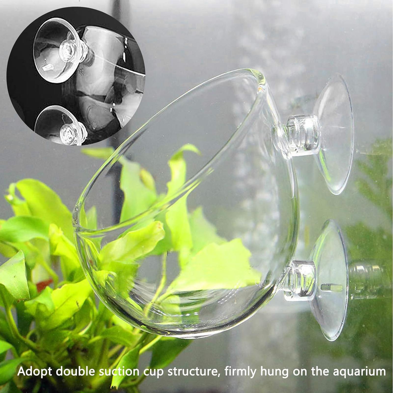 Aquarium Planted Tank Substrate - Maceta de vidrio para acuario con