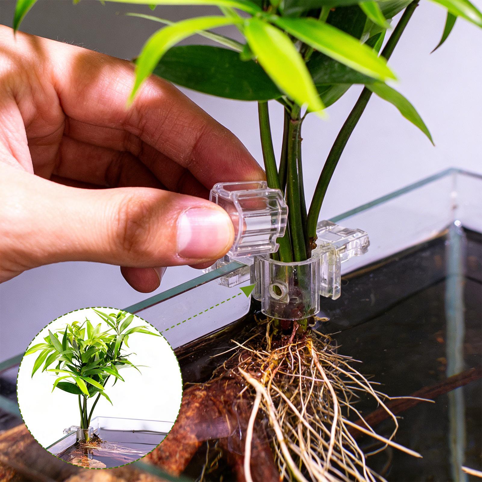 Aquarium Plant Growing - Soportes para plantas de acuario, soporte