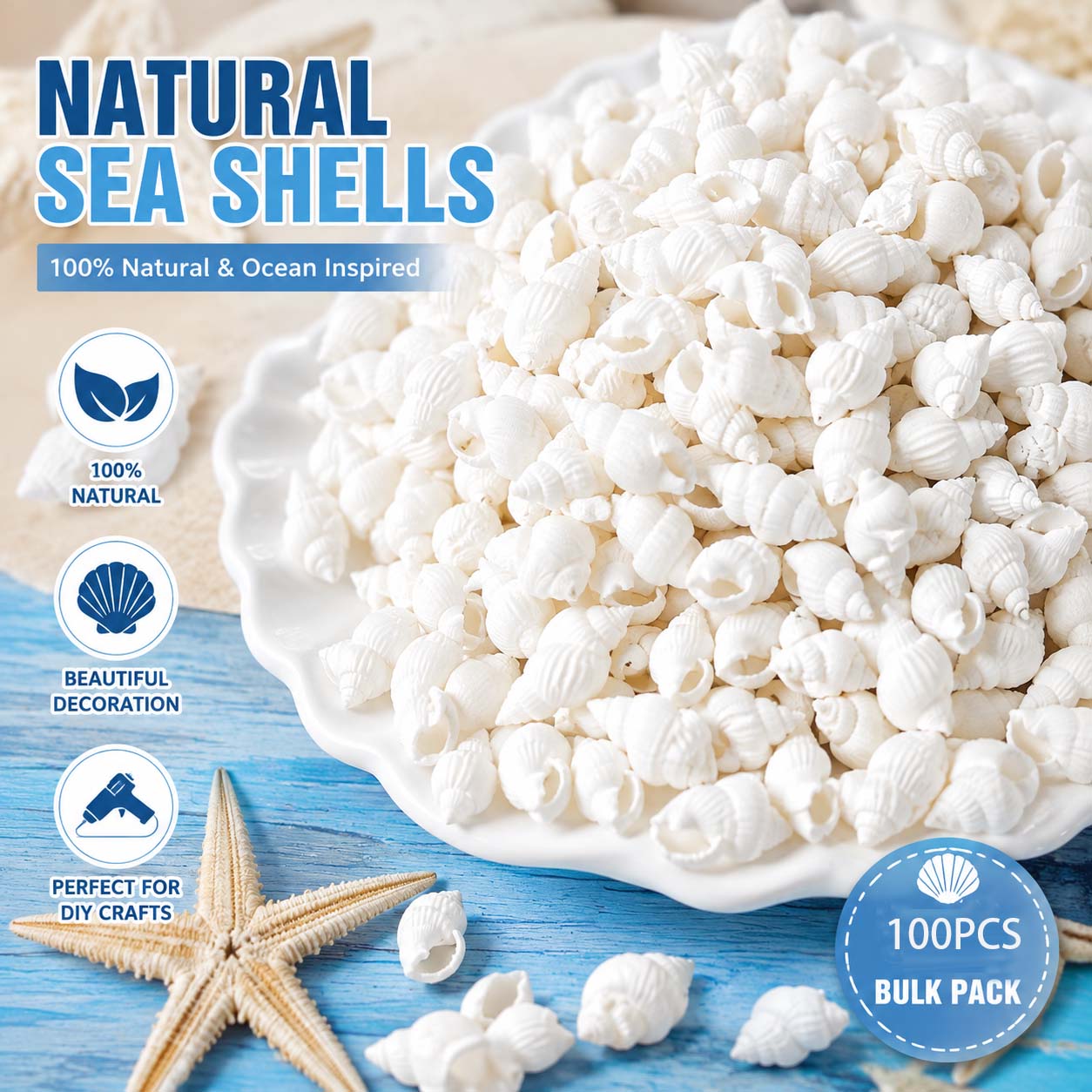 Planted Aquarium Making - Mini Conchas Marinas Blancas Naturales para