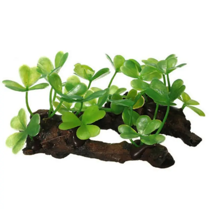 Tronco de árbol de tortuga Art - Planted Aquarium Making reseña y precio