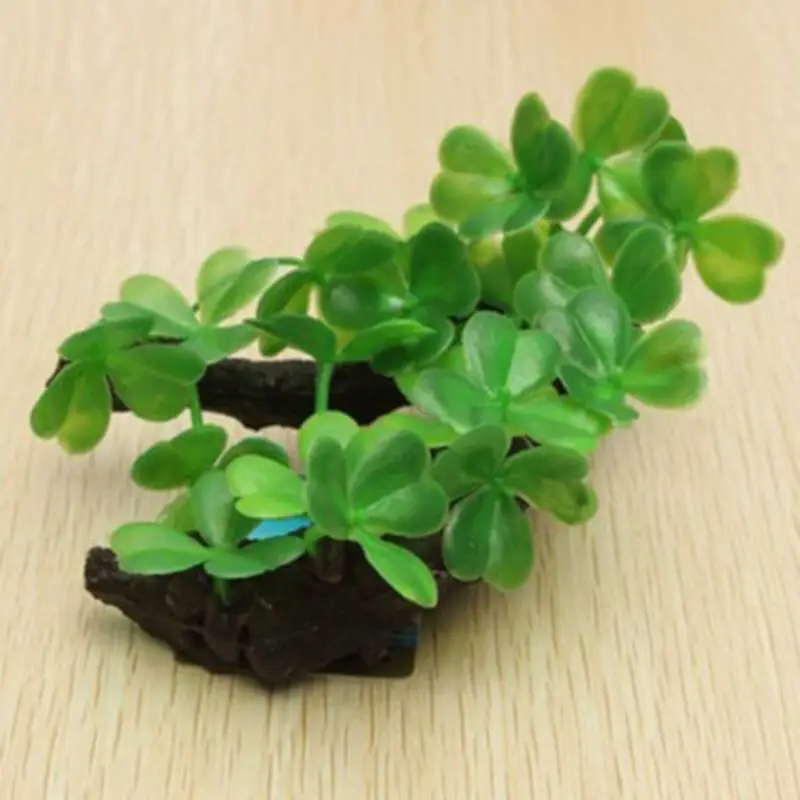 Tronco de árbol de tortuga Art - Planted Aquarium Making reseña y precio