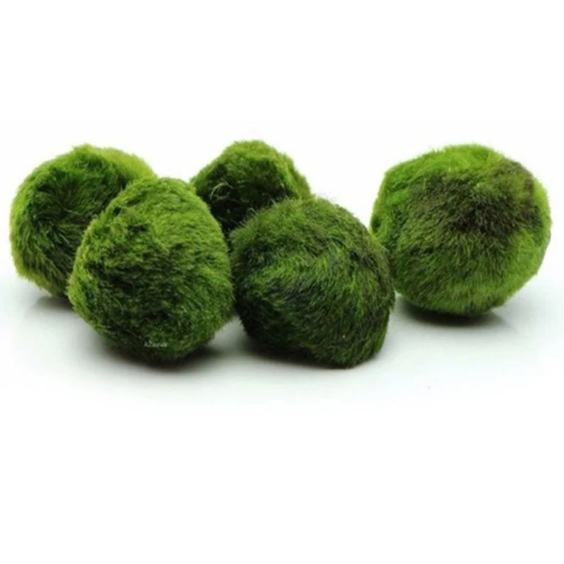 1 Pieza de Bolas de Musgo de 3 - Aquarium Planted Tank Substrate reseña y precio