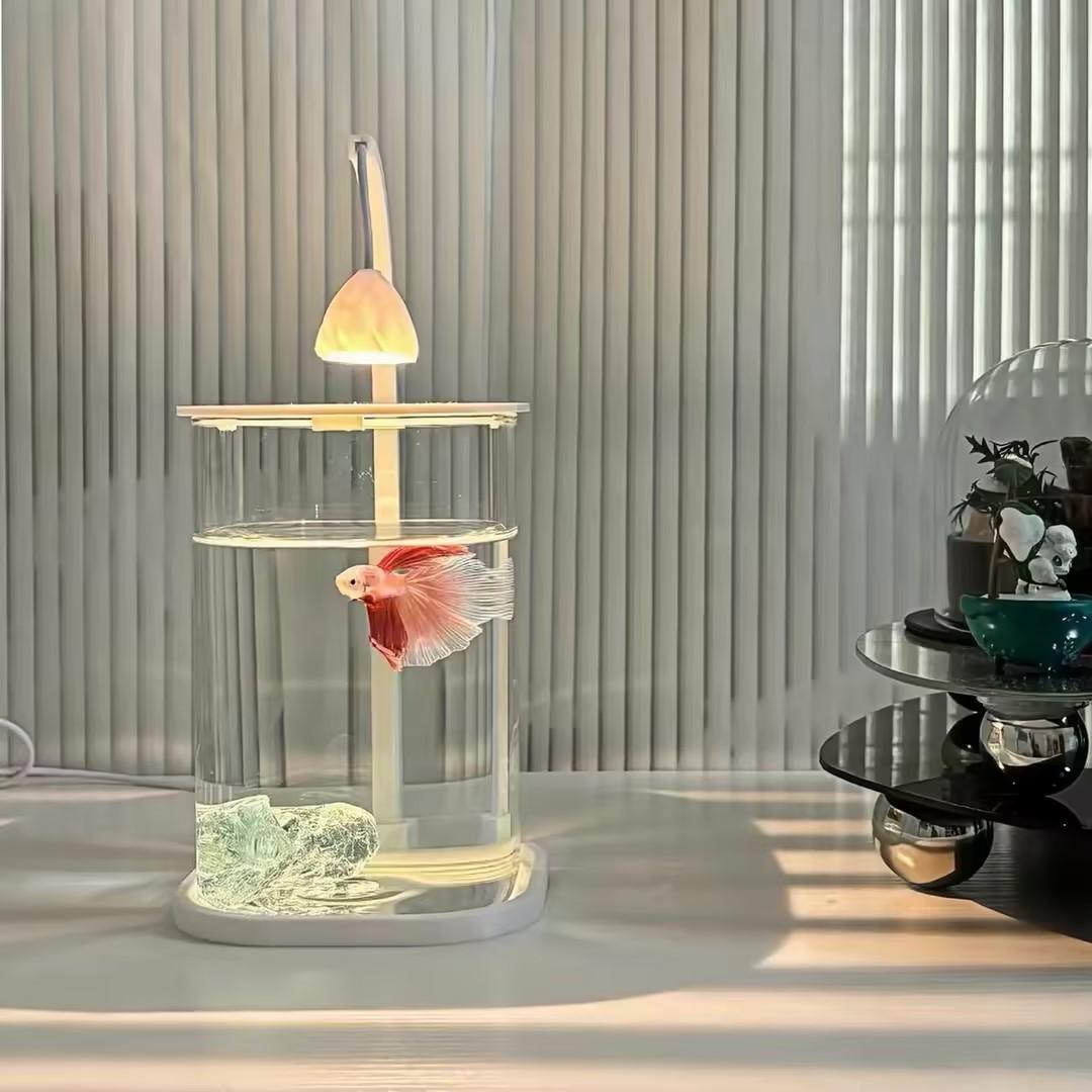 360 °   Pecera Panorámica Tran - Planted Aquarium Betta reseña y precio