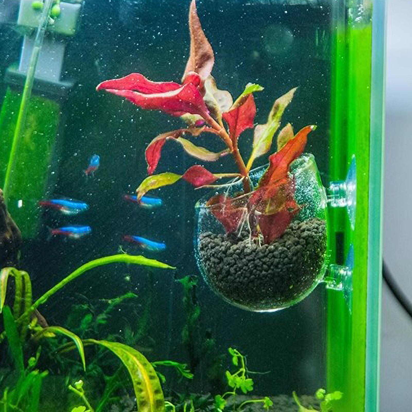 Soporte para Plantas de Acuari - Aquarium Planted Tank Substrate reseña y precio
