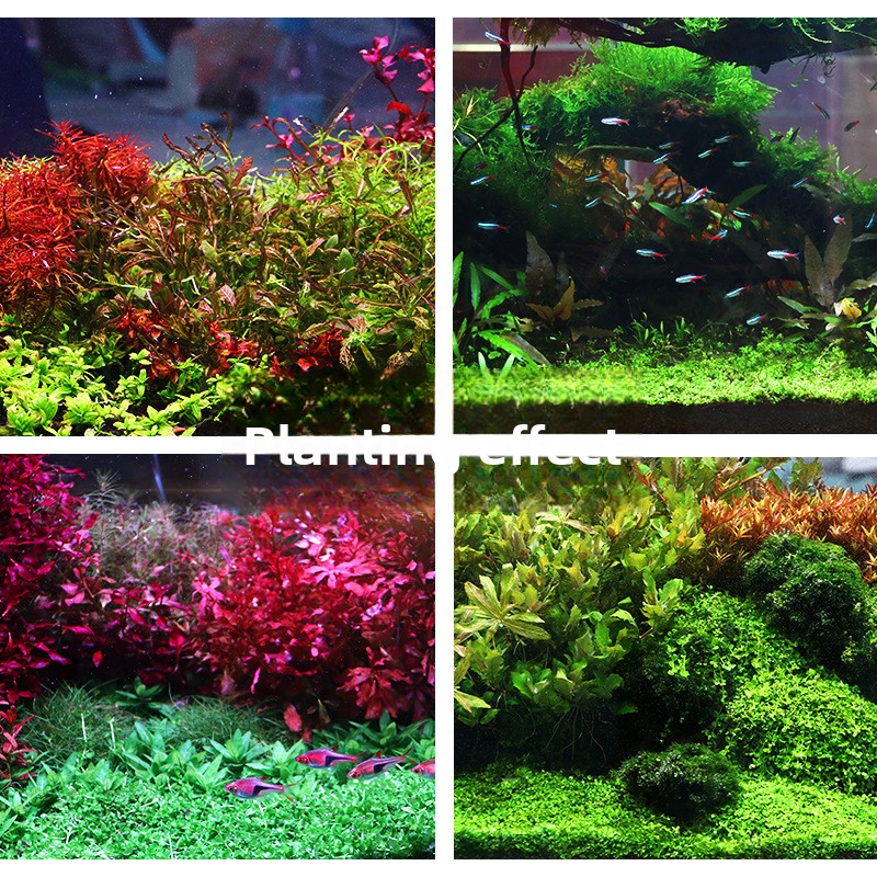 SYSENCIAGA-sustrato de acuario - Aquarium Planted Tank Substrate reseña y precio