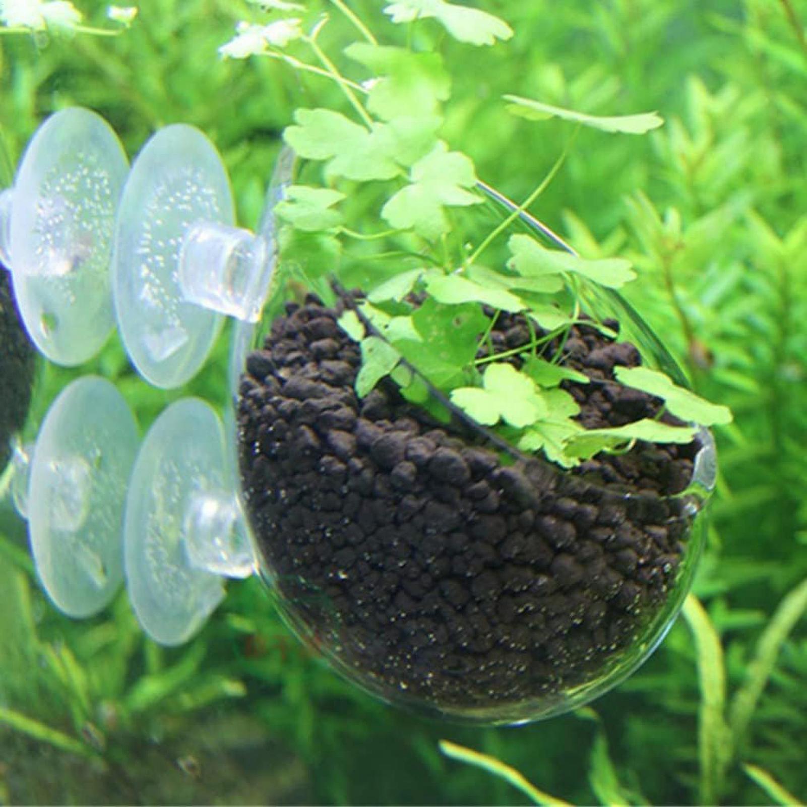 Maceta de vidrio para acuario  - Aquarium Planted Tank Substrate reseña y precio