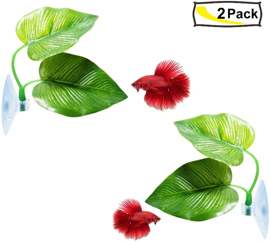 Hamaca de hojas de pescado Bet - Planted Aquarium Betta reseña y precio