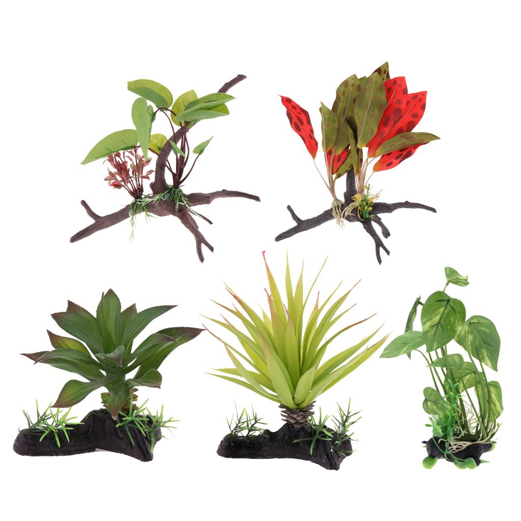 Terrario para reptiles, planta - Planted Aquarium Jungle reseña y precio