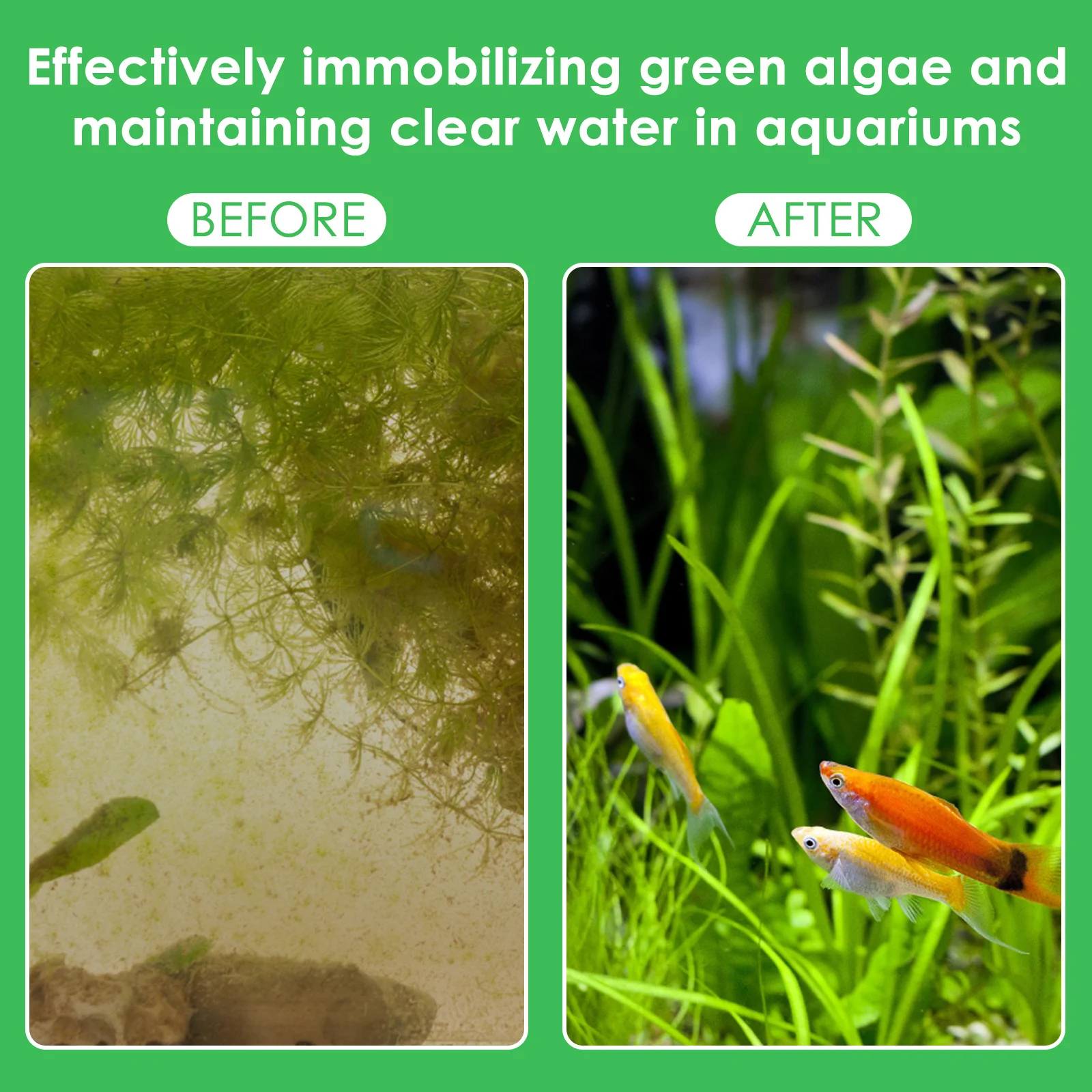 50 Uds. Pesas para plantas de  - Aquarium Planted Tank Substrate reseña y precio