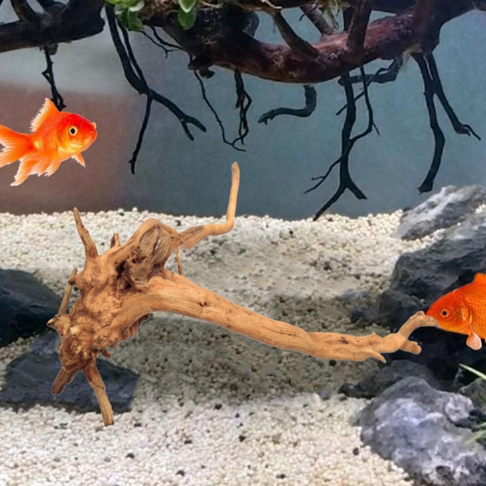Decoración de tronco de árbol  - Aquarium Plant Growing reseña y precio