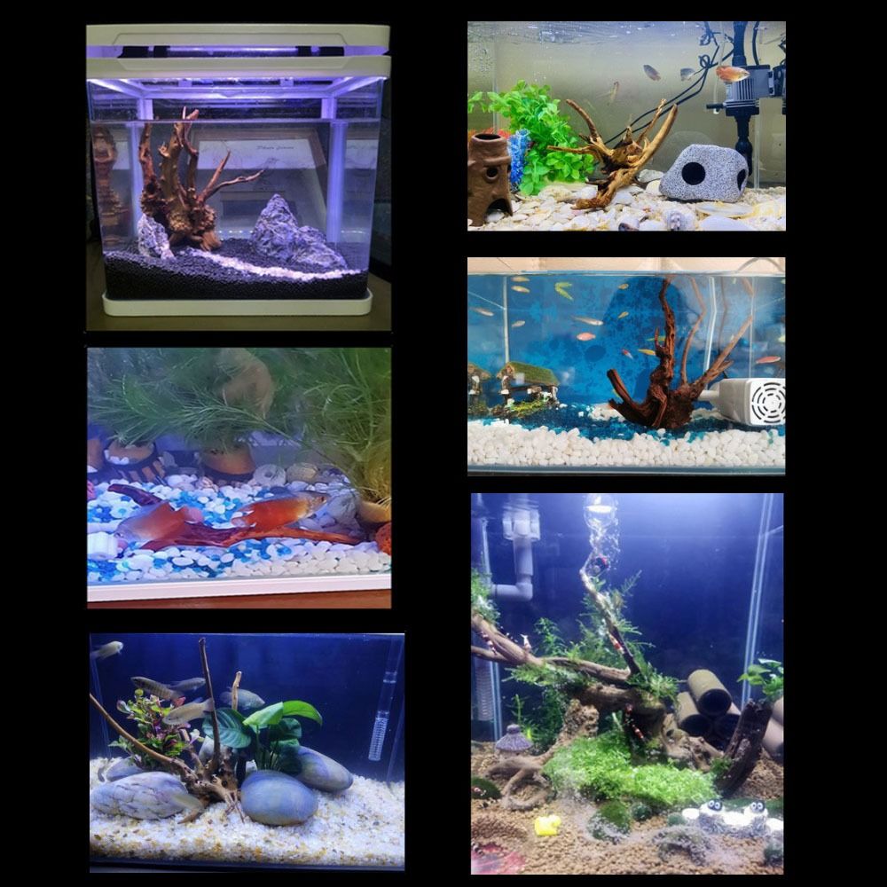 Decoración de tronco de árbol  - Aquarium Plant Growing reseña y precio