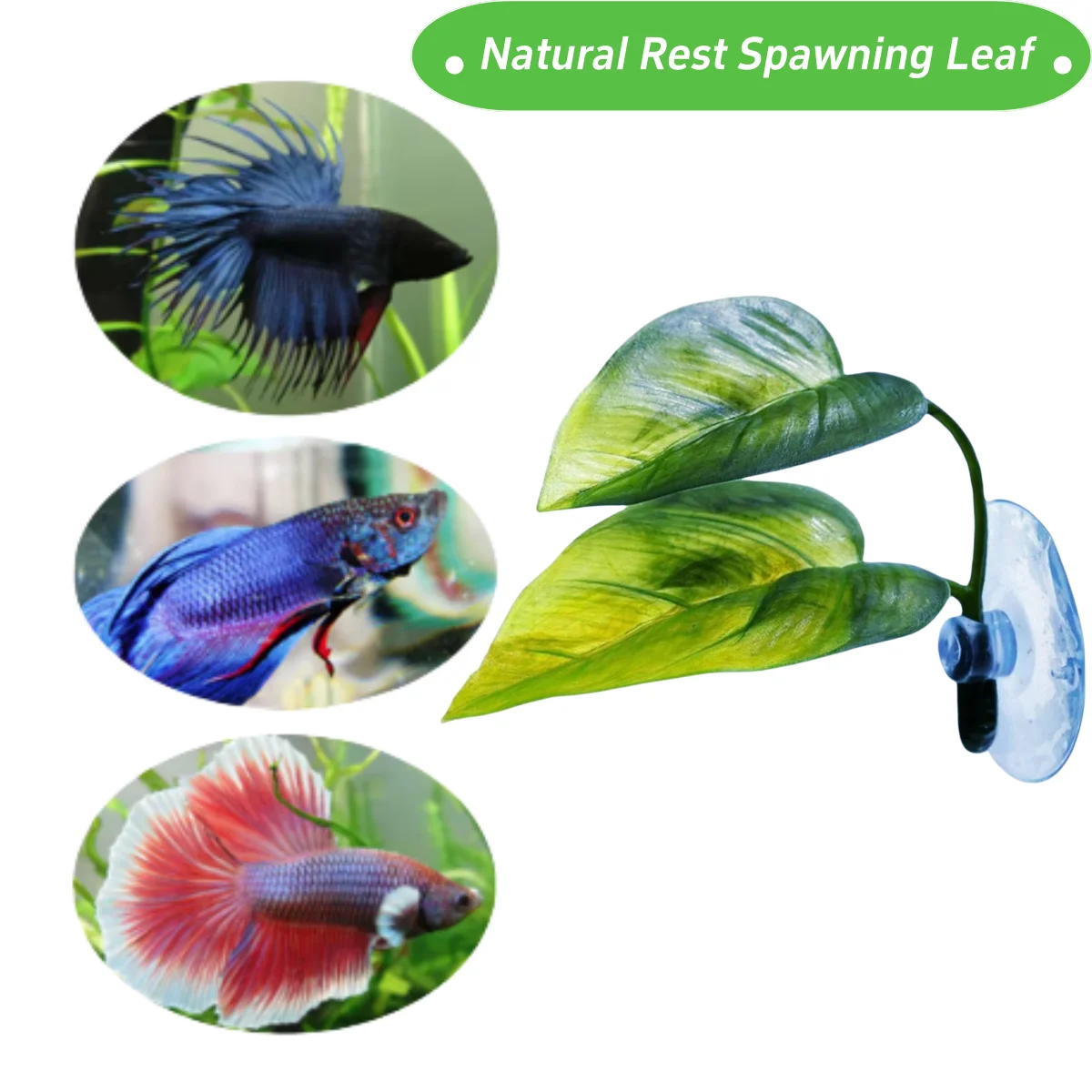 Decoración de pecera para masc - Aquarium Plant Growing reseña y precio