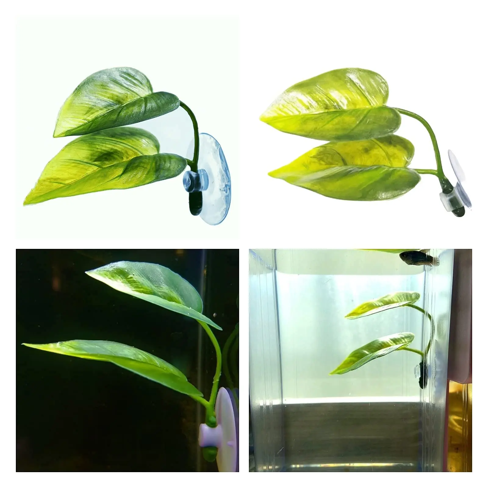 Decoración de pecera para masc - Aquarium Plant Growing reseña y precio