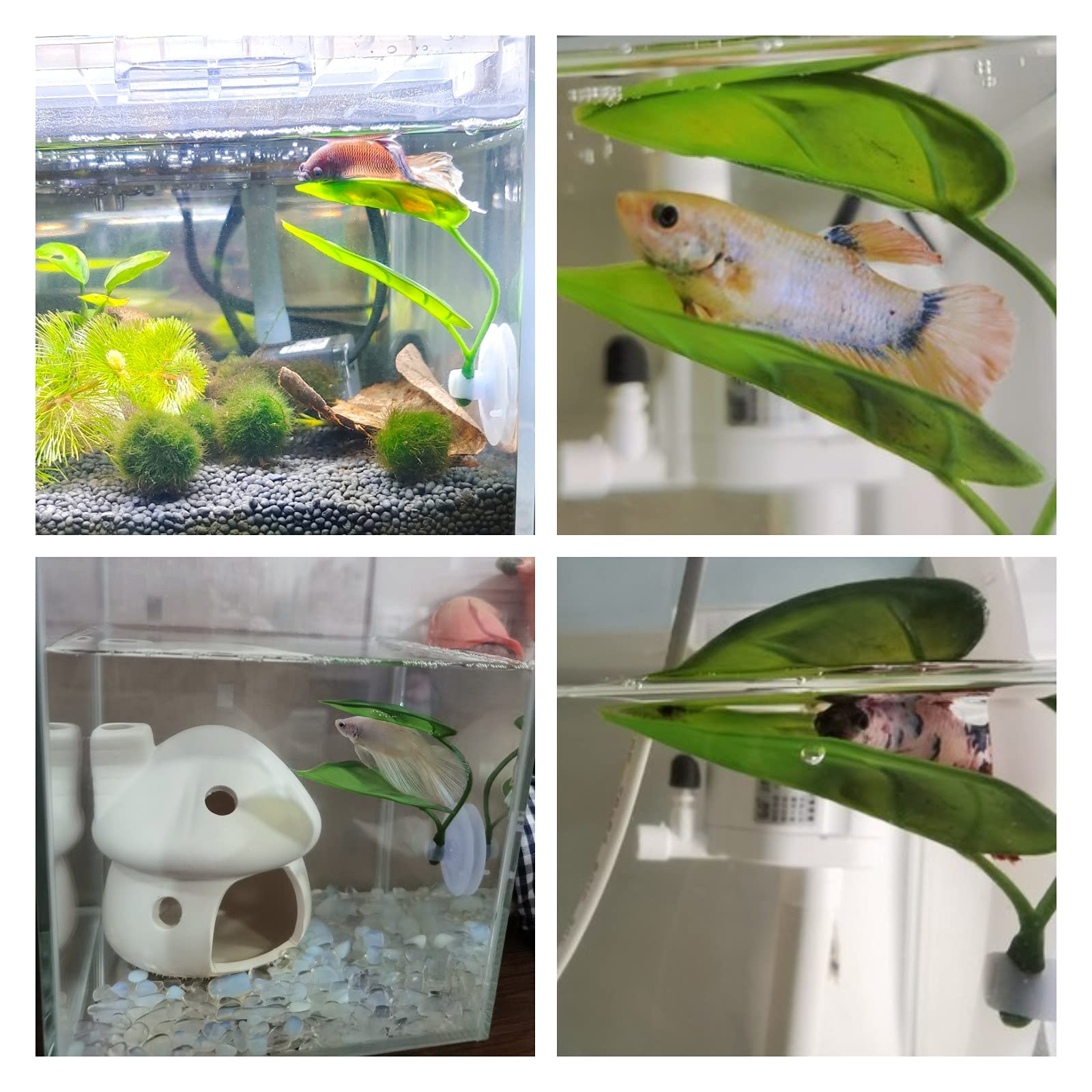 Decoración de pecera para masc - Aquarium Plant Growing reseña y precio