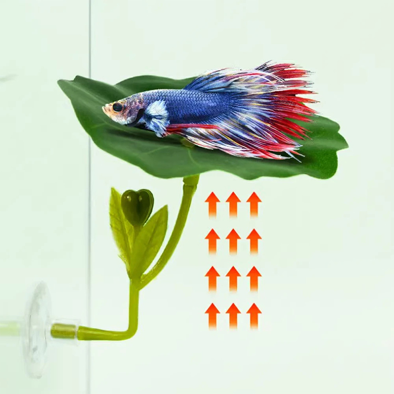Hamaca de hoja verde para pece - Planted Aquarium Betta reseña y precio