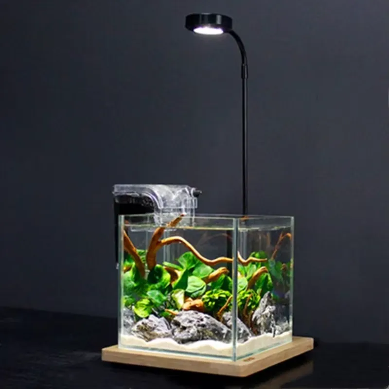 Lámpara LED para Acuario con T - Planted Aquarium Hours reseña y precio