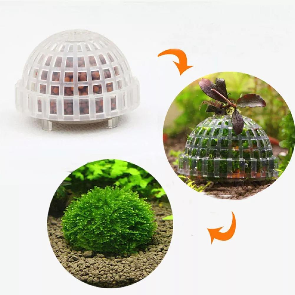 Suministros acuáticos para mas - Aquarium Planted Tank Substrate reseña y precio