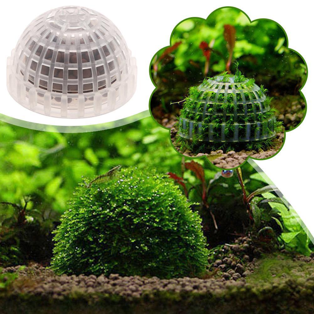 Suministros acuáticos para mas - Aquarium Planted Tank Substrate reseña y precio