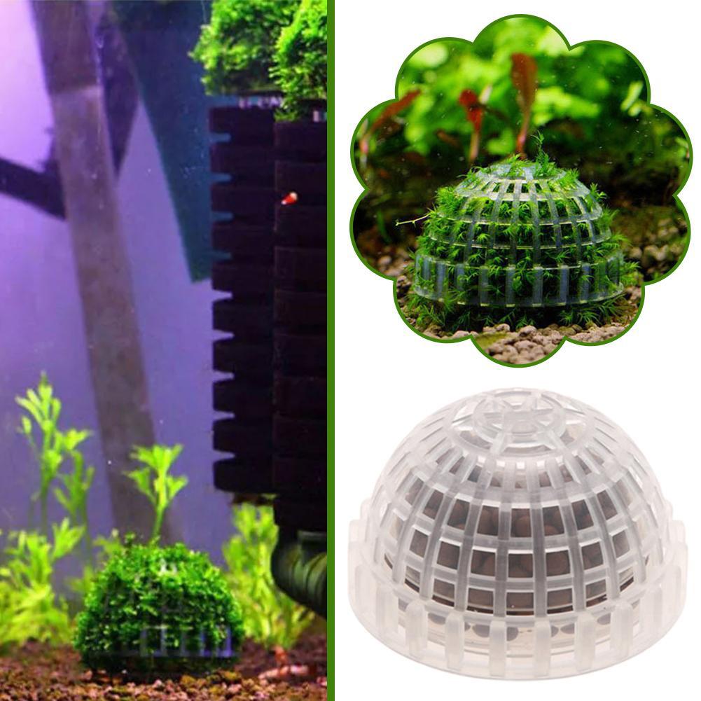 Suministros acuáticos para mas - Aquarium Planted Tank Substrate reseña y precio
