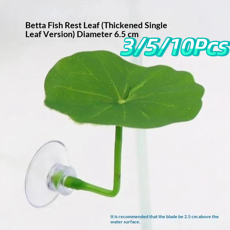 3/5/10 Piezas de Hojas de Loto - Planted Aquarium Betta reseña y precio