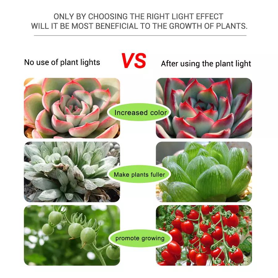 Tiras LED de 5V, cinta Phyto U - Planted Aquarium Hours reseña y precio