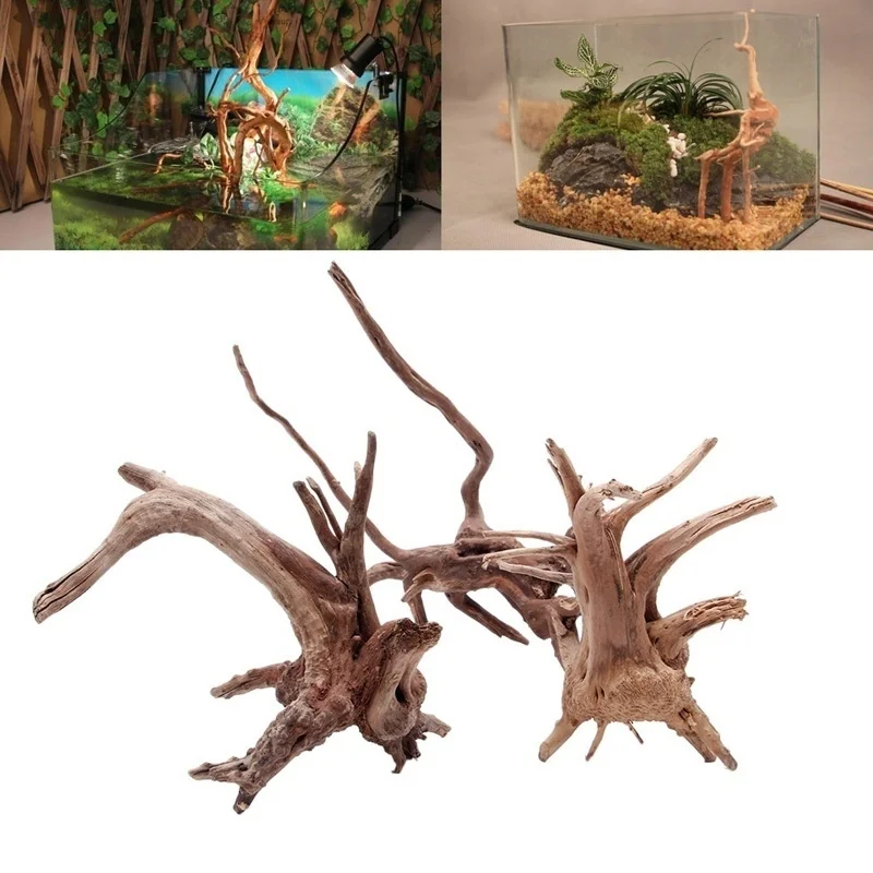 Tronco de árbol Natural, mader - Planted Aquarium Making reseña y precio