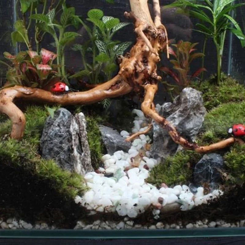 Tronco de árbol Natural, mader - Planted Aquarium Making reseña y precio