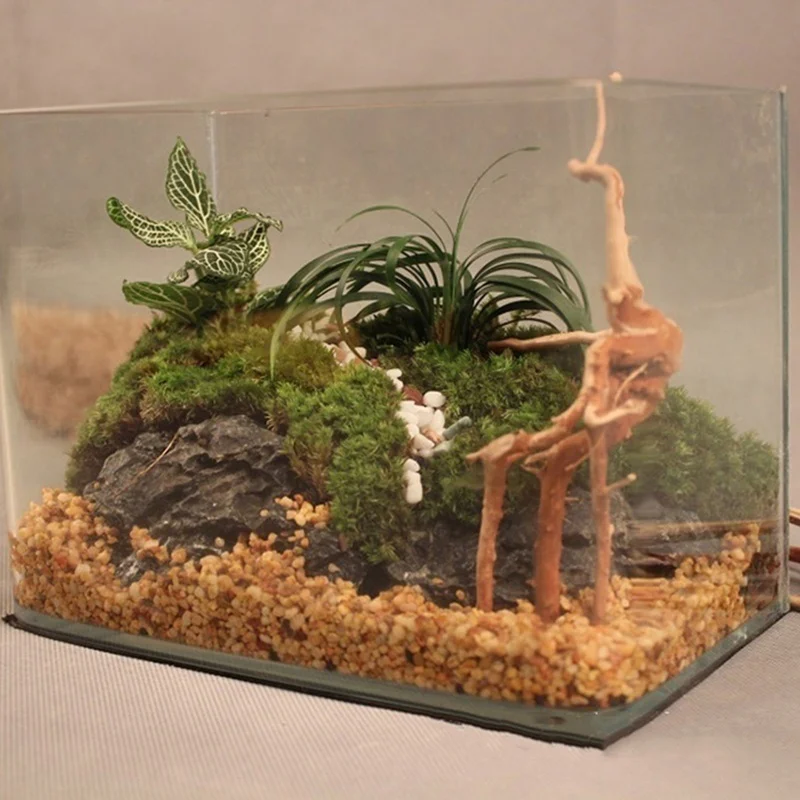 Tronco de árbol Natural, mader - Planted Aquarium Making reseña y precio